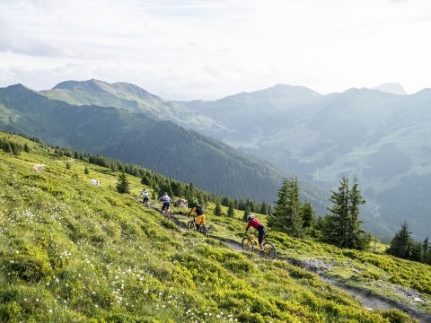 Vier Mountainbiker fahren über einen Trail mitten durch die saftig grünen Almwiesen